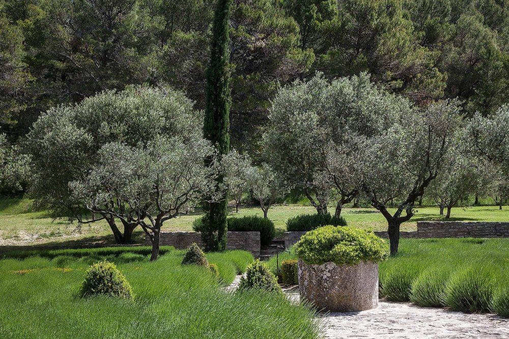 david price design farm alpilles garden (1)