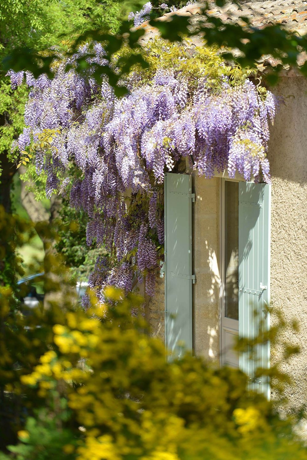 fenêtre de la ferme st remy