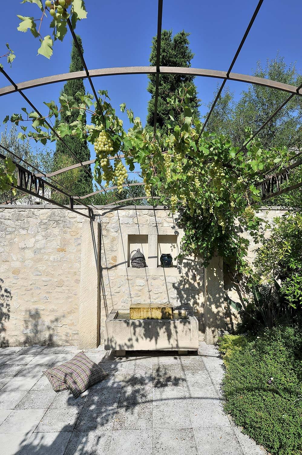 village house paradou garden vines